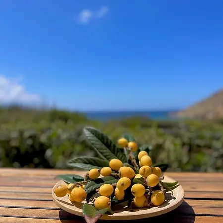 Seaside Studios Arkasa Karpathos Extérieur photo